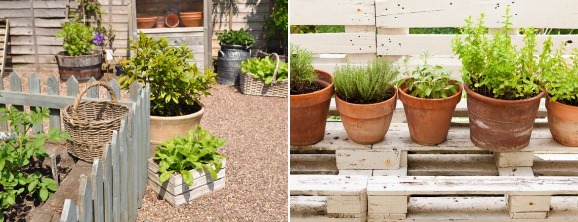 Kruiden planten moestuinbak - GroenRijk de Heikant Veldhoven