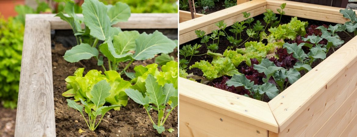 vee Weigering Tot ziens Moestuin - Tuincentrum GroenRijk de Heikant te Veldhoven