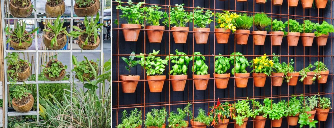 vee Weigering Tot ziens Moestuin - Tuincentrum GroenRijk de Heikant te Veldhoven