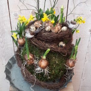 Workshop voorjaarsbol