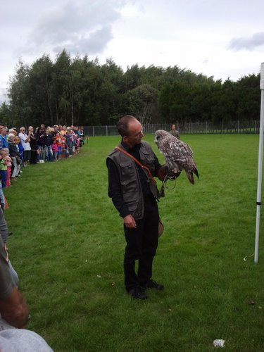 Roofvogelshow bij groenrijk bij eindhoven