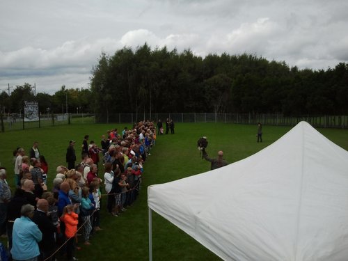 Roofvogels vliegen zo snel dat ze niet bij zijn te houden op de foto