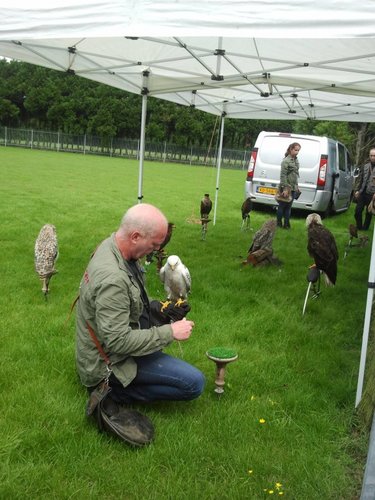 Roofvogelshow bij GroenRijk Veldhoven