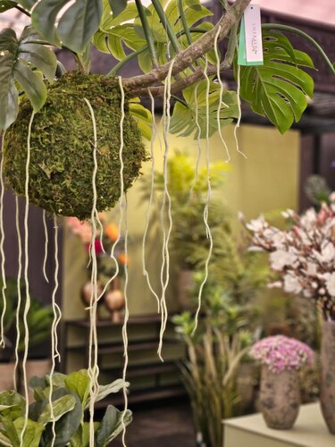 Tuincentrum
