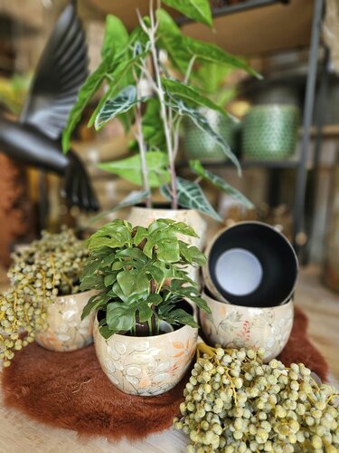 Tuincentrum