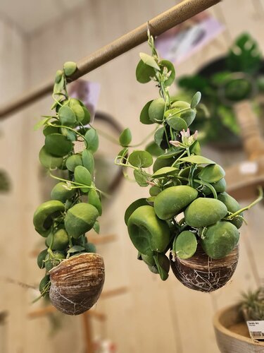 Tuincentrum